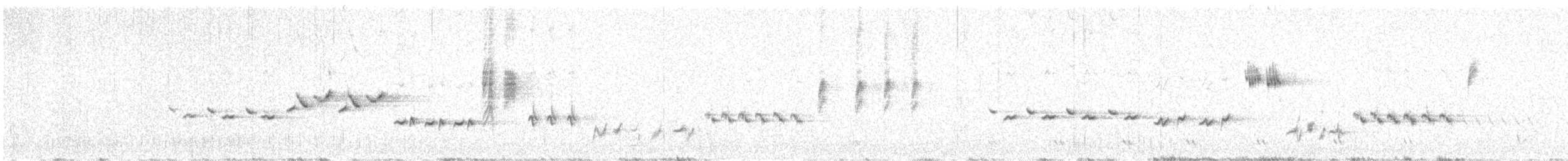 Shy Heathwren - ML641641463
