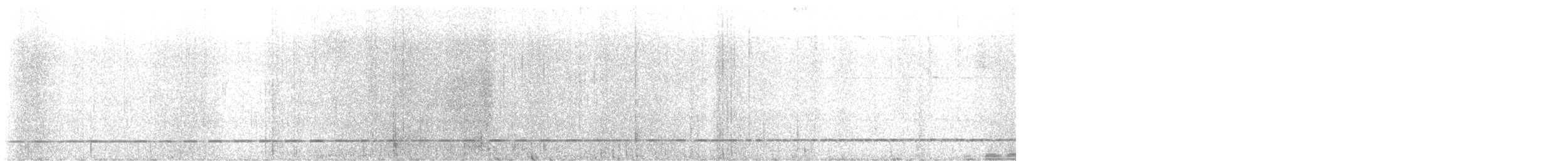 Such's Antthrush - ML641641465