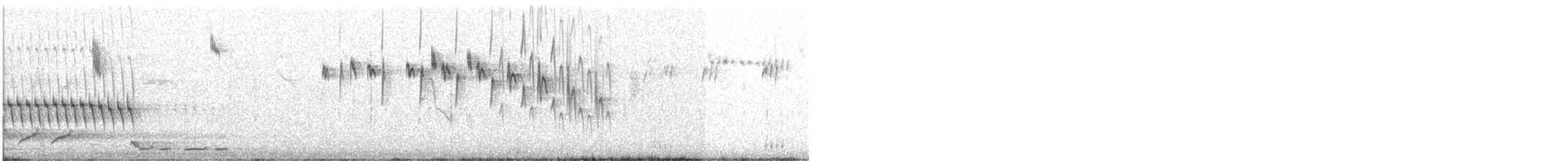 Splendid Fairywren - ML641644073