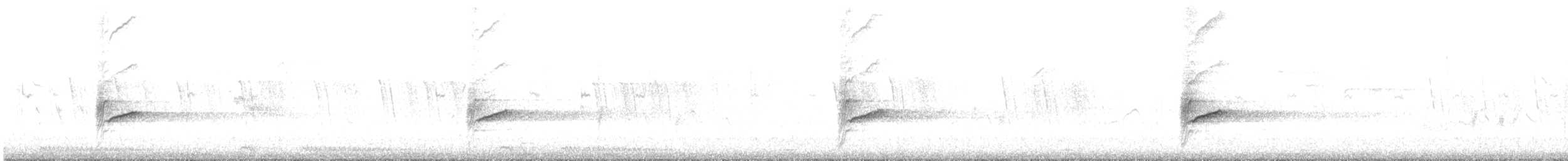 Бюльбюль капський - ML641644488