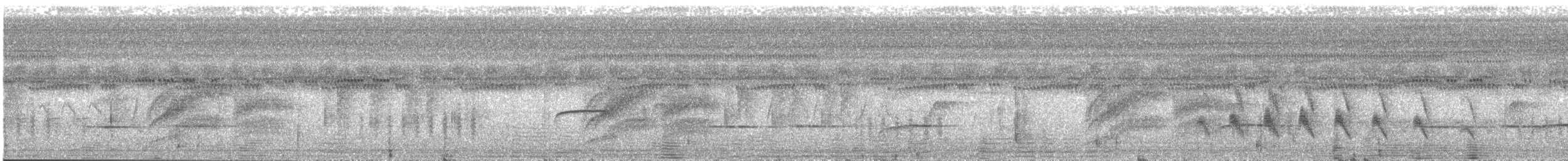 Tyran licteur - ML641644769