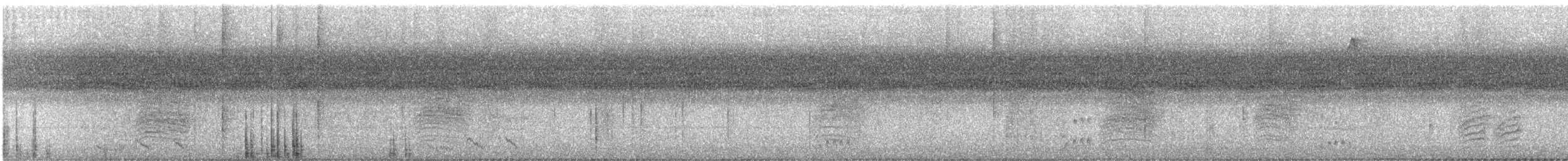 Tacchino selvatico - ML641644888