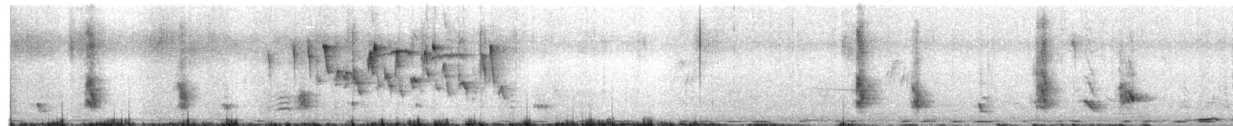 Greater Blue-eared Starling - ML641645030