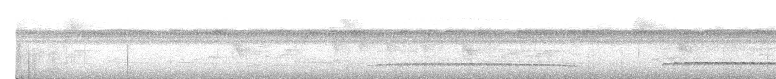 Spot-crowned Antvireo - ML641645417