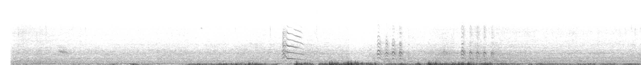 Kelp Gull - ML641647937