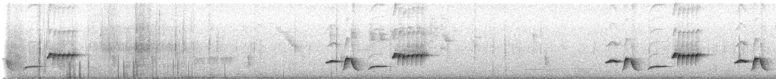 Bar-winged Wood-Wren - ML641648036