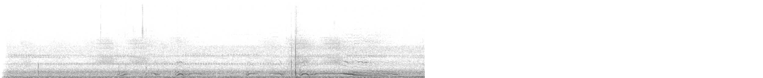 Barred Owl - ML641648581