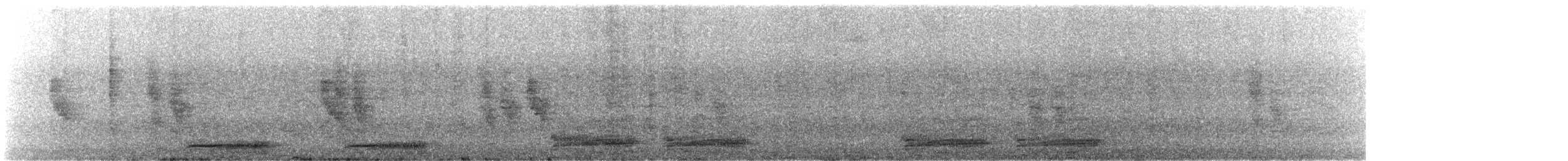 Pied Crow - ML641648961