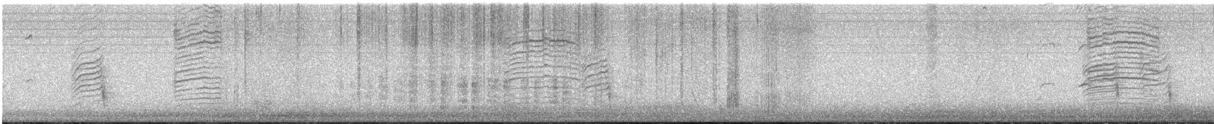 Grünmantel-Bogenflügel - ML641649129