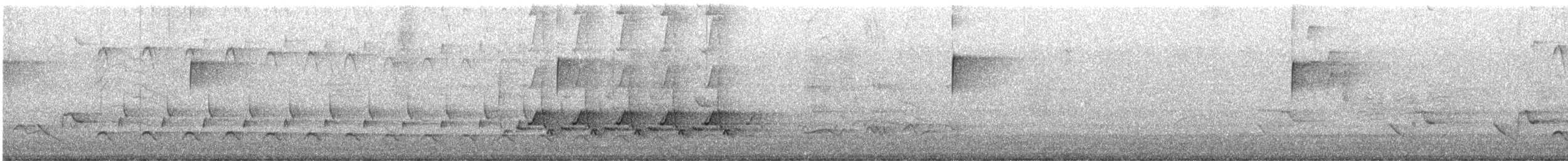 Carolina Wren - ML641649659