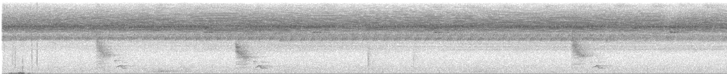 Чернобрюхий крапивник - ML641650143
