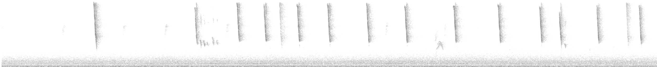 Northern Cardinal - ML641650184