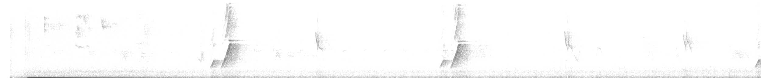 Curve-billed Thrasher - ML641650707