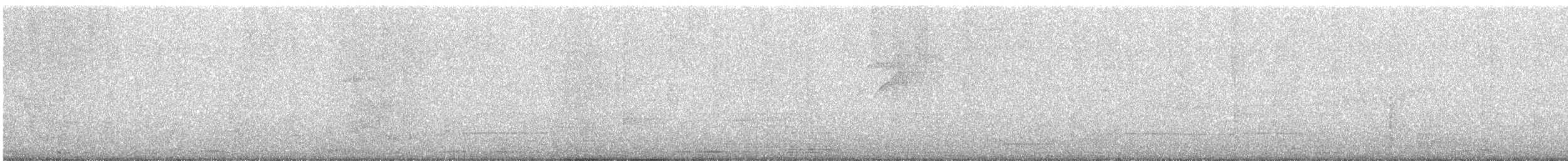 Melodious Blackbird - ML641651242