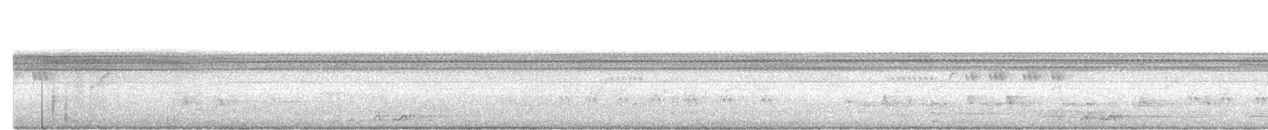 vrána tlustozobá - ML641652532