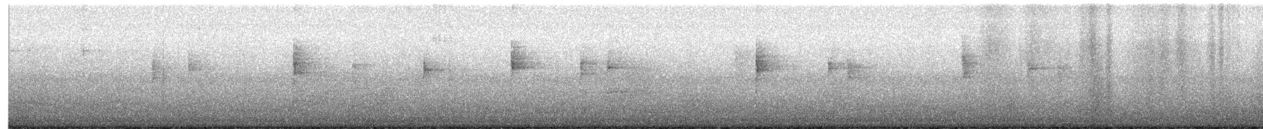 Northern Waterthrush - ML641654289