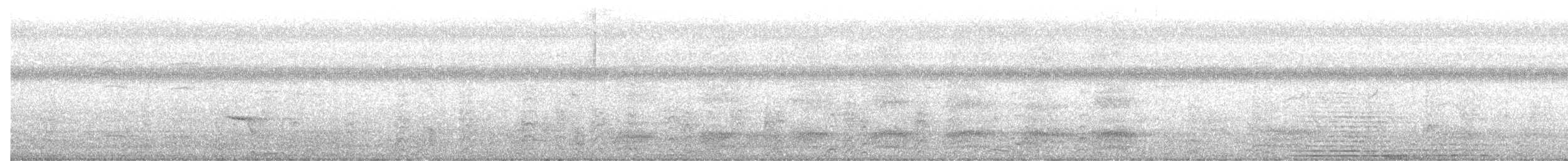 orientdvergskarv - ML641657981
