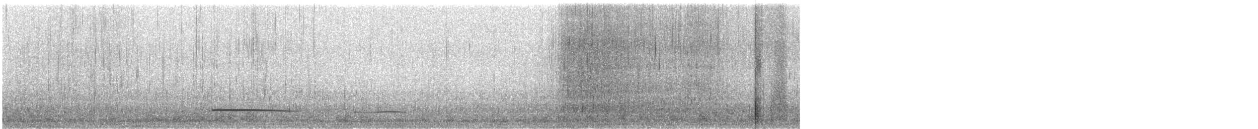 Pazifiktrauerente - ML641658710