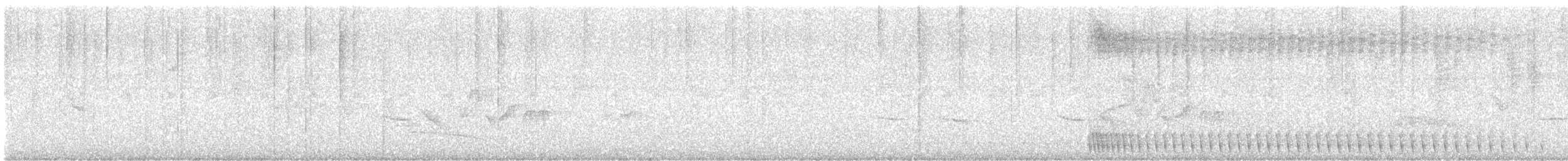 Great Antshrike - ML641658866