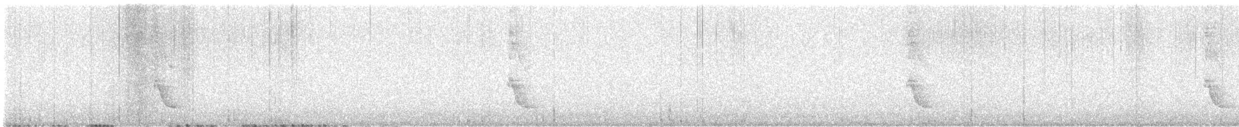 Tawny Antpitta - ML641659583