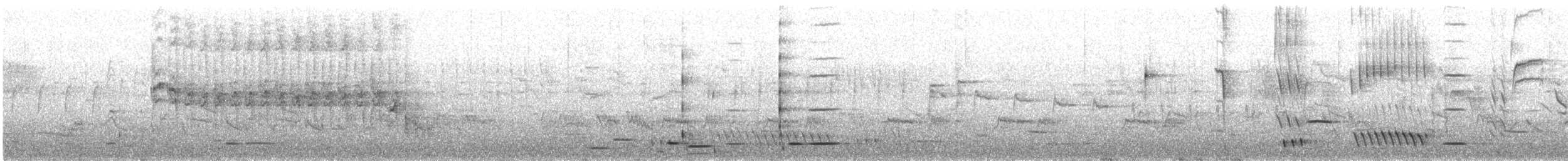 Tui - ML641663921