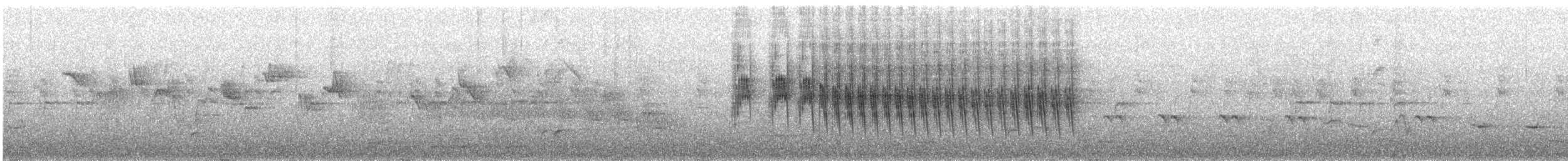 Whitehead - ML641664051