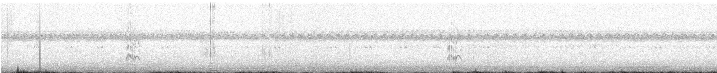 サンドイッチアジサシ（acuflavidus） - ML641666952