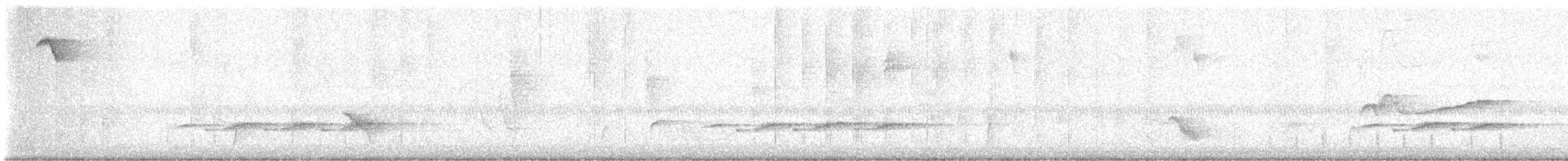 Swainson's Thrush - ML641667045