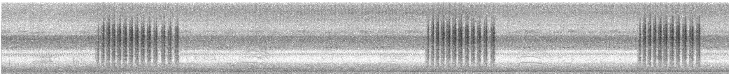 Northern House Wren - ML641667408