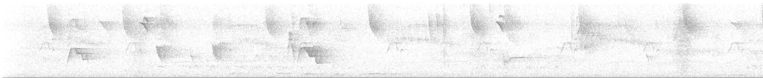 Yellow-legged Thrush - ML641669459