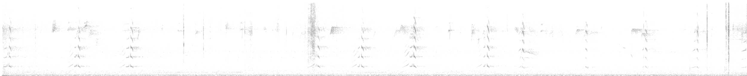 Wood Duck - ML641669590