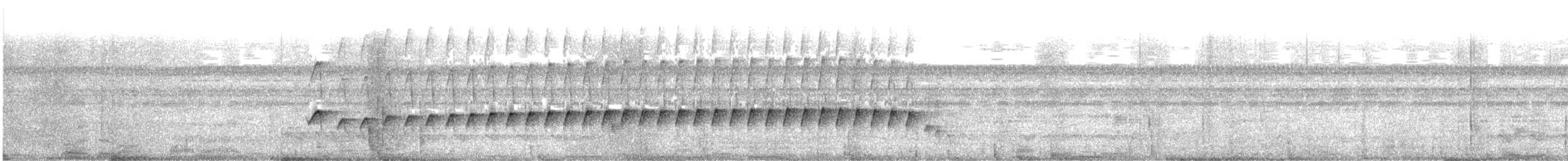 Silberameisenschnäpper - ML641670524