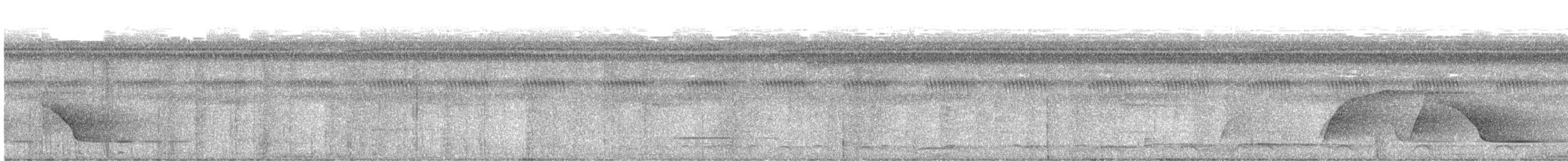Piauhau hurleur - ML641671201