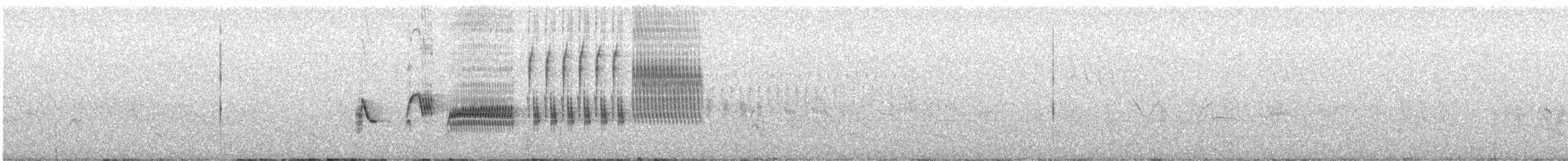 Тауї зеленохвостий - ML641671204