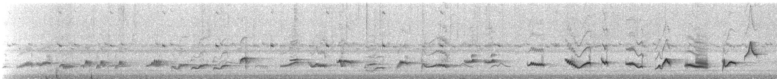 Pale-breasted Thrush - ML641672650