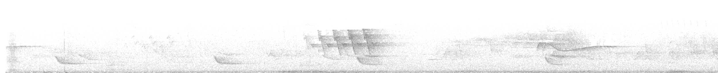 American Redstart - ML641672845