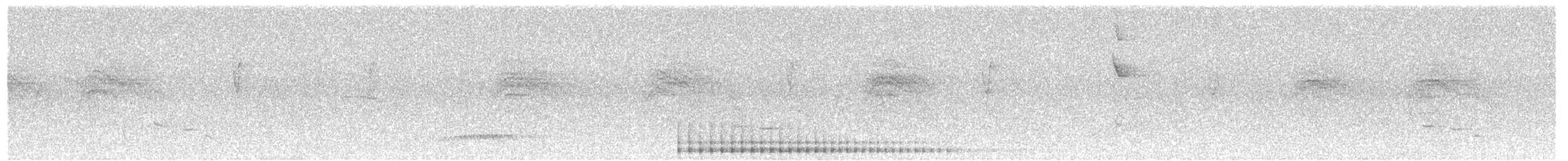 Linienspecht - ML641672966