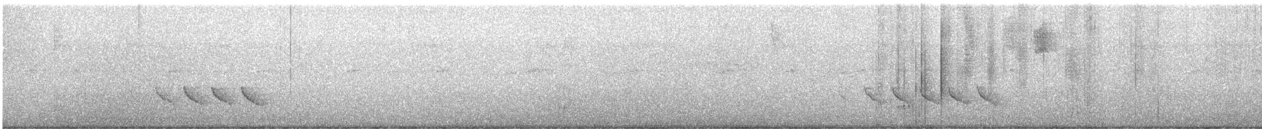 ヒラハシモズモドキ - ML641673172