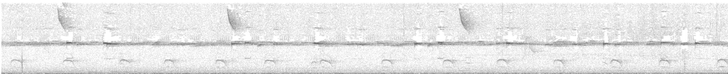 Olivgrau-Ameisenvogel - ML641673289