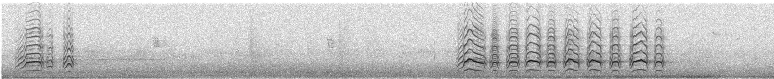 Roadside Hawk - ML641677394