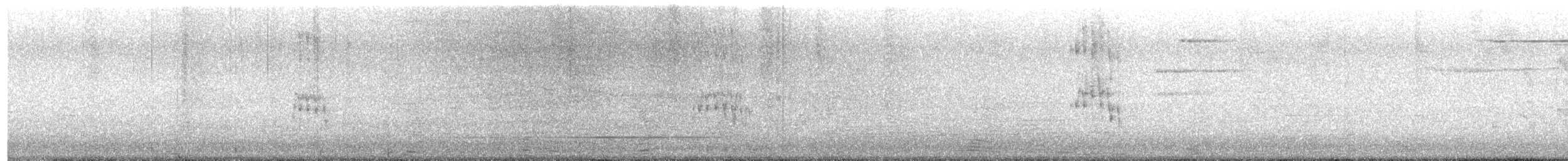 Australian Ibis - ML641678124