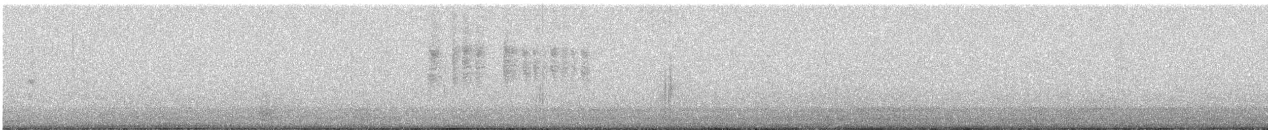 コバシマユシトド - ML641678497