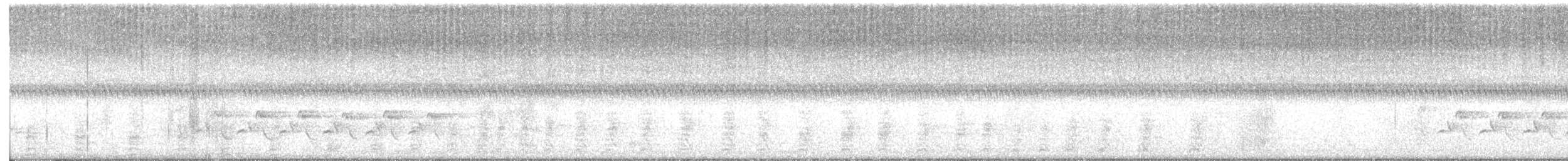 Carolina Wren - ML641680671