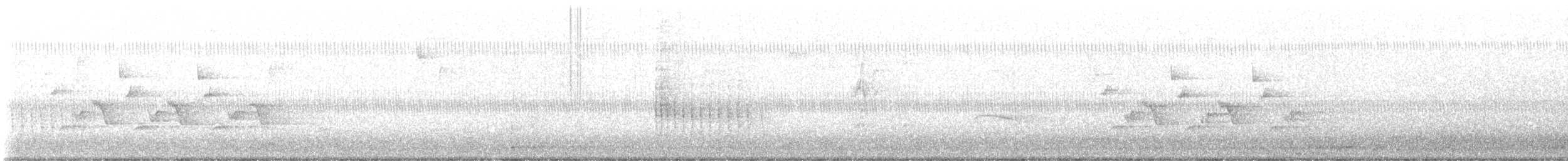 Belted Kingfisher - ML641682942
