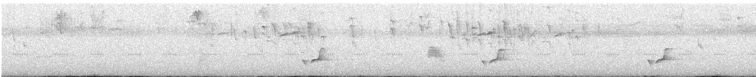 Streak-throated Bush-Tyrant - ML641683114