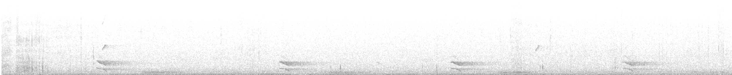 Barred Forest-Falcon - ML641684251