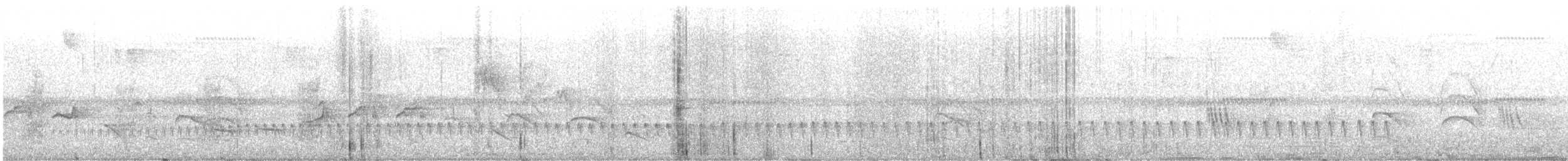 Amazonian Streaked-Antwren - ML641684270