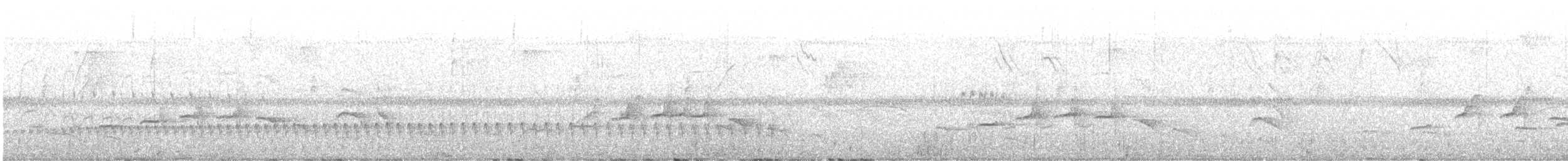 Amazonian Streaked-Antwren - ML641684271