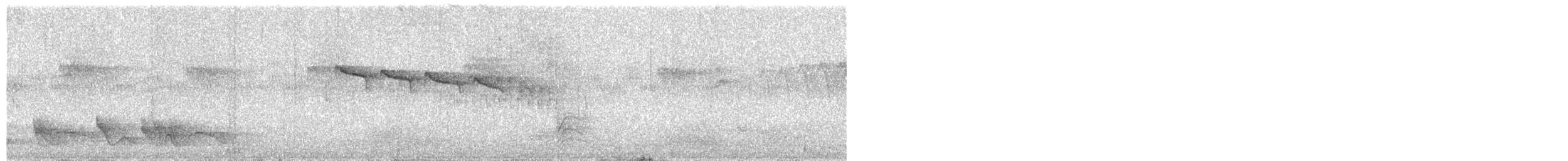 Pin-tailed Manakin - ML641684778