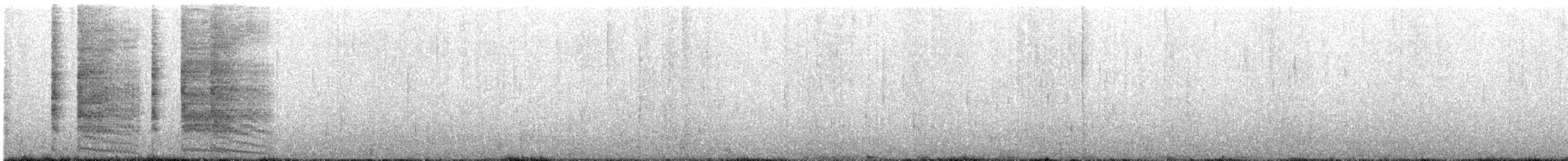 Râle gris - ML641685902